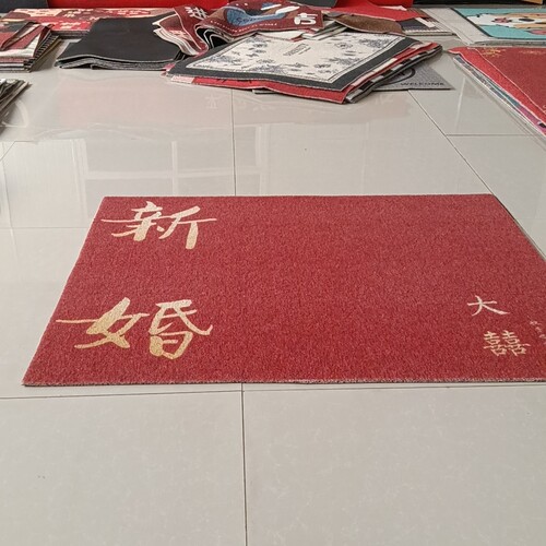 微瑕丝圈地垫入户门口垫100*120