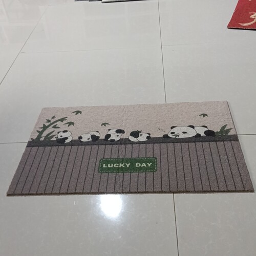 丝圈地垫50*80厘米