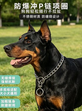 防爆冲304不锈钢P链双圈狗链金属项圈脖训狗链旋转防缠绕训练脖套