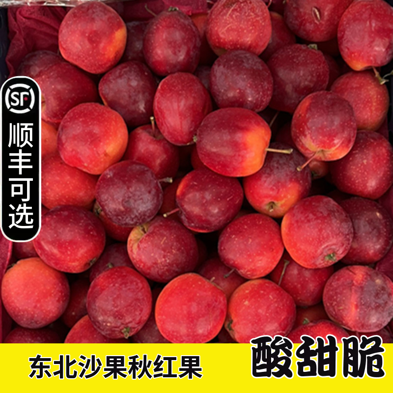 正宗东北沙果新鲜水果