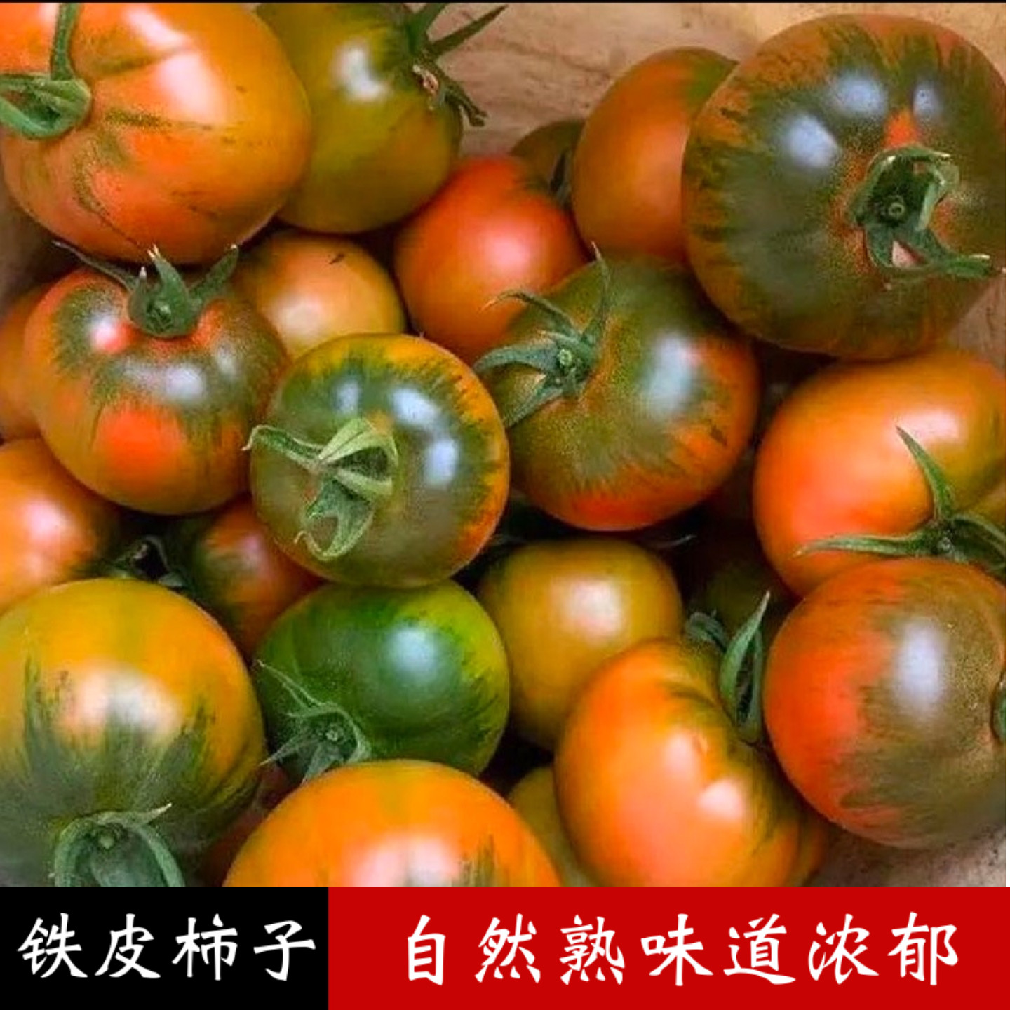 自家大棚铁皮柿子新鲜自然熟