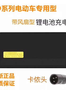 雅雅迪电动车电瓶车锂电池充电器48v正适用23a12ah20AH卡侬头品