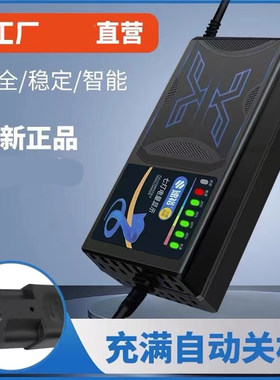 电动车电瓶充电器48V12AH60V20AH7220AH爱玛新国标石墨烯通用