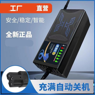 电动车电瓶充电器48V12AH60V20AH7220AH爱玛新国标石墨烯通用