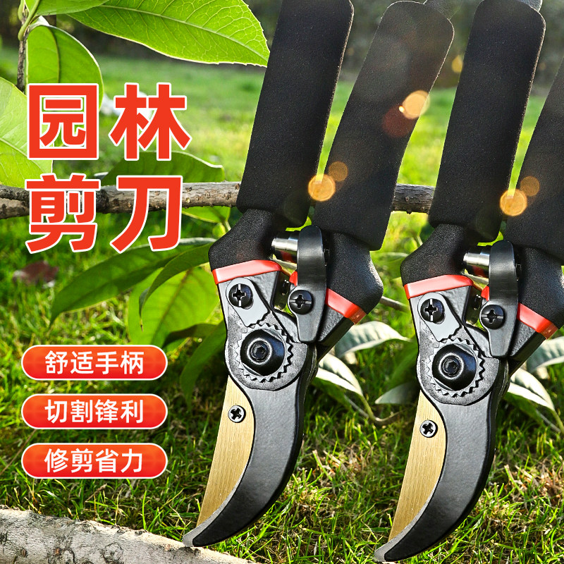 强力花艺果树修剪家用花木粗枝剪图片