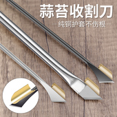 蒜苔收割刀抽蒜薹神器蒜苔器 工具刮划剥拔打蒜苔神器蒜薹收割刀