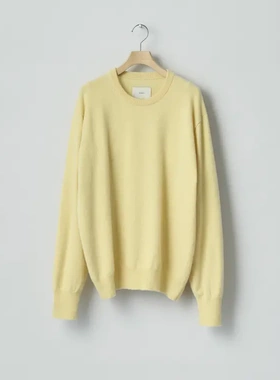 【代购】SSSTEIN 26ss Cashmere knit crewneck 全羊绒圆领针织衫
