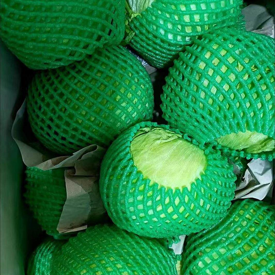 球生菜汉堡专用20斤装西餐新鲜蔬菜沙拉食材结球形圆型西生菜包邮