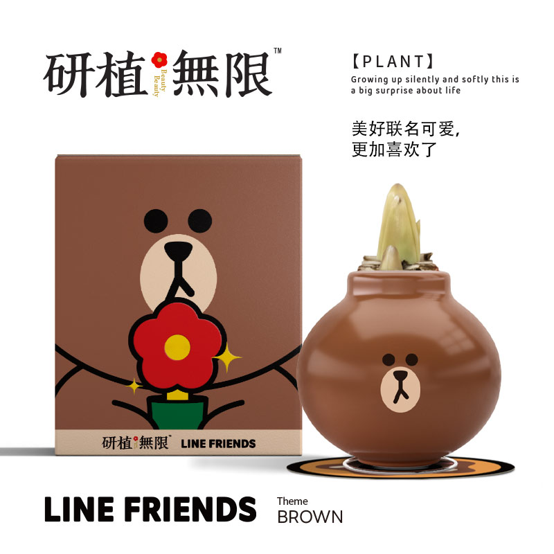 布朗熊朱顶红腊球LINEFRIENDS
