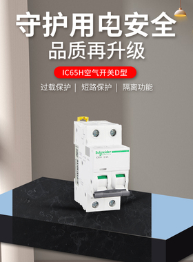 施耐德断路器IC65H空气开关1P2P3P4P空开D型1A10A16A20A25A32A63A