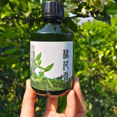 川橘园自制橘子花露未提取精油橘子花纯露