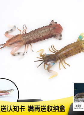 仿真实心海洋动物儿童玩具模型皮皮虾虾婆虾姑认知礼物
