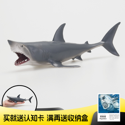 仿真实心海洋动物模型鲨鱼巨齿鲨