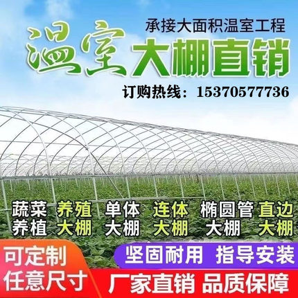 种植蔬菜温室大棚育苗草莓西瓜大棚骨架定制连体连栋大棚热镀管
