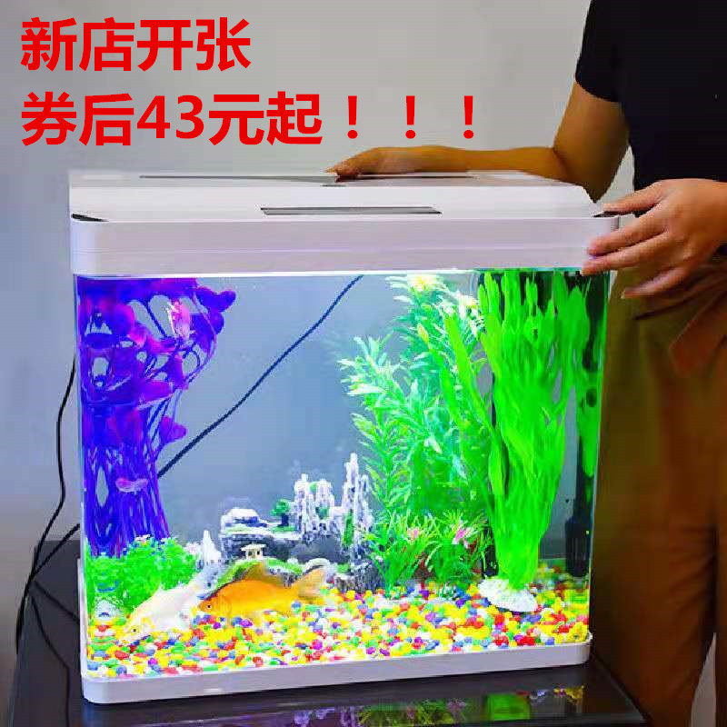 客厅鱼缸家用创意小型水族箱水草缸懒人桌面缸免换水生态箱玻璃缸 百狸券购 网购省钱 千万商品领券购
