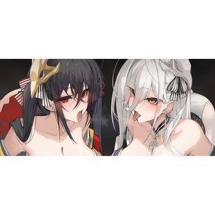 鹤屋定金 大慈 C107 碧蓝航线 大凤＆白凤 特大两面挂画 预定