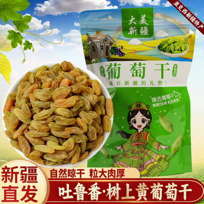 新疆特产吐鲁番树上黄葡萄干无核即食黄提子干大颗粒休闲零食优质