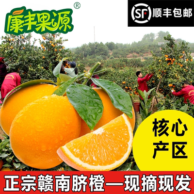 顺丰10斤精品赣南脐橙核心产区