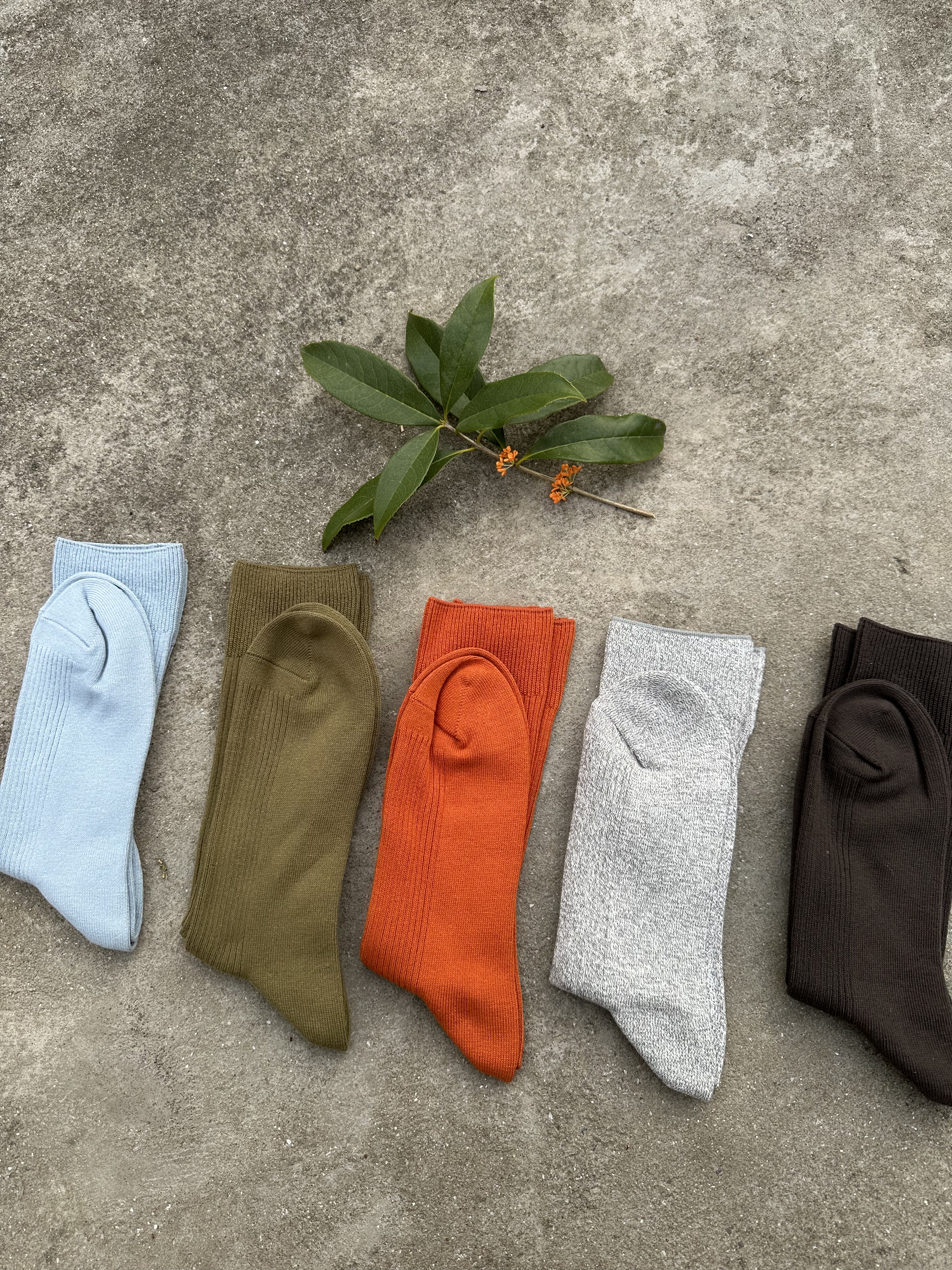 丹桂色系 日单 高品纯棉袜 可做堆堆袜 男女同款 5双一组 筒高23