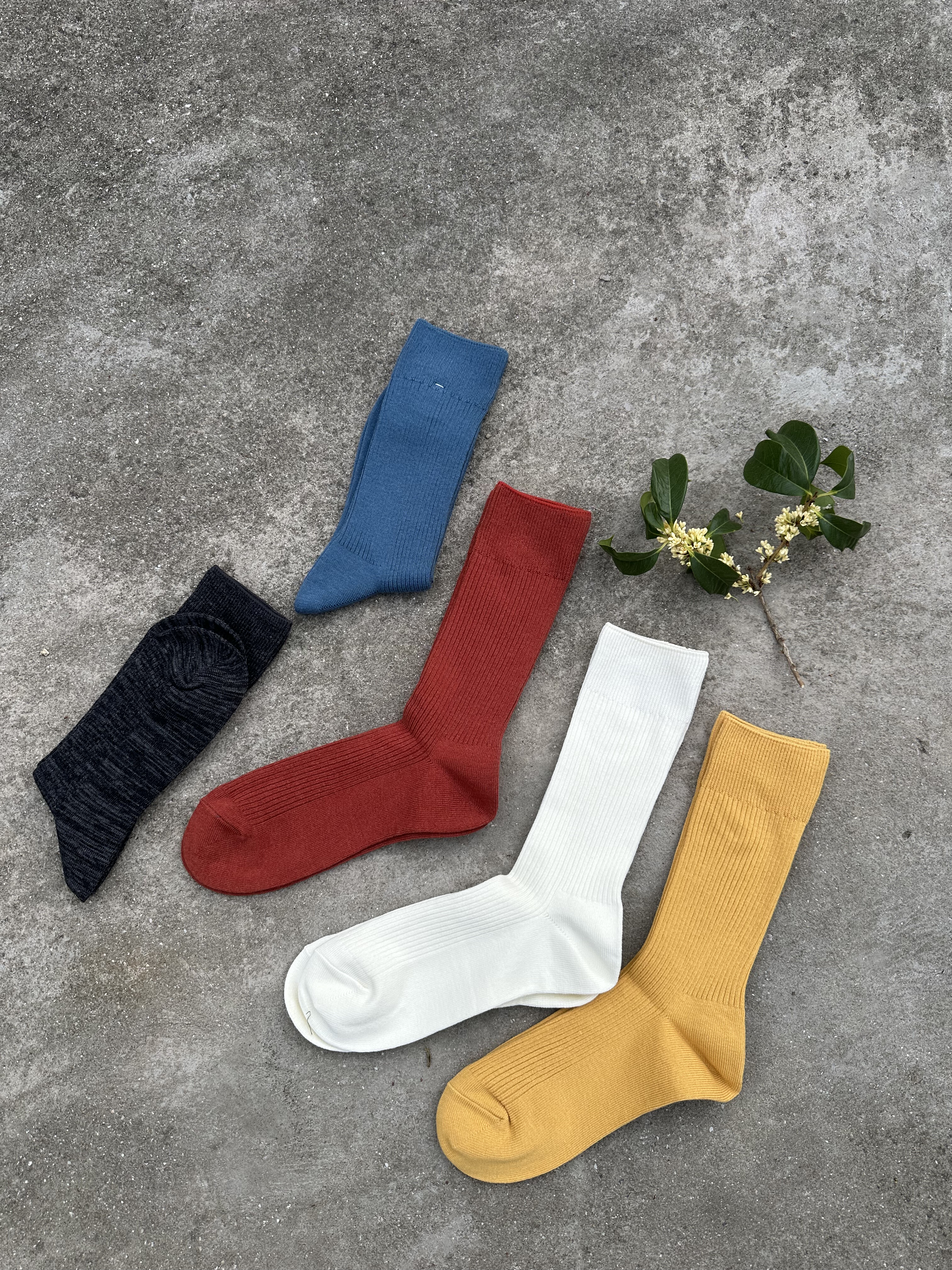 金桂色系 日单 高品纯棉袜 可做堆堆袜 男女同款 5双一组 筒高23