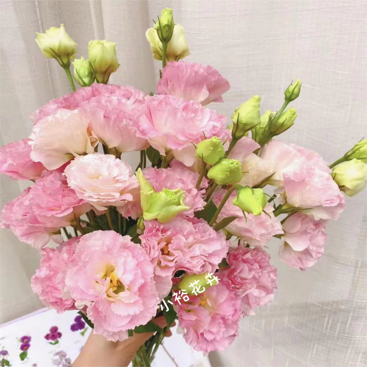 【洋桔梗】15-20朵多颜色 水培插瓶 顺丰快递 云南鲜花基地直发
