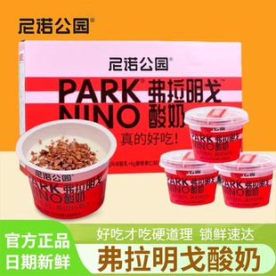 尼诺公园弗拉明戈酸奶126g*12杯礼盒装碧根果仁搅拌酸奶早餐零食