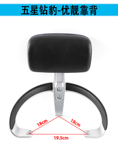 适用五星钻豹电动车优靓靠背尾翼电瓶车G16后扶手货架拉手铝配件