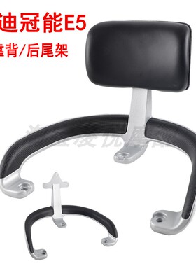 适用雅迪冠能E5电动车靠背尾架YD1200DT-18D领跑E5s尾箱后衣货架