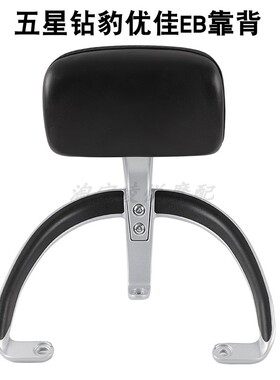 适用于五星钻豹优佳EB恒美eb电动车靠背尾架TDT579Z尾翼靠垫货架