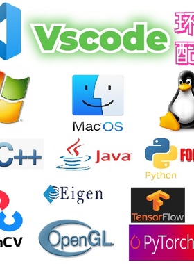 vscode环境配置C/C++/Python/java/LaTeX/R/GO/win/mac/ubuntu