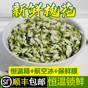 2026年深山现摘新鲜槐花野菜野生洋槐花杨槐花刺槐花4斤顺丰包邮