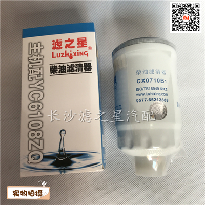柴滤CX0710B1 CX0710B YCX-6312 适配玉柴231-1105020 柴油滤清器