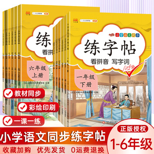 小学语文同步练字帖一二三四五六年级上下册人教版 二年级下册练字帖 小学生字帖铅笔钢笔楷书生字词练字本生字抄写本每日一练