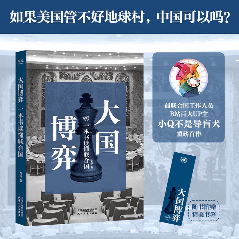 大国博弈：一本书读懂联合国
