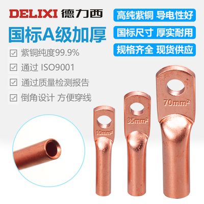 德力西铜管鼻国标紫铜加厚铜鼻子