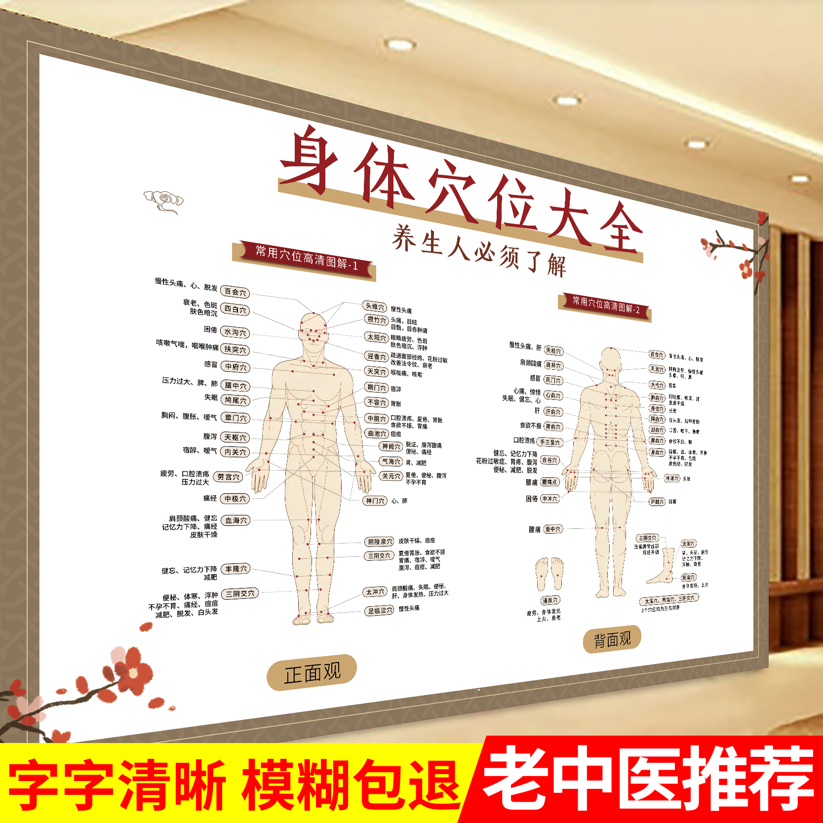 中奥海报穴位图人体经络穴位标准