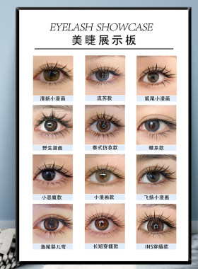 美睫睫毛款式展示板海报图