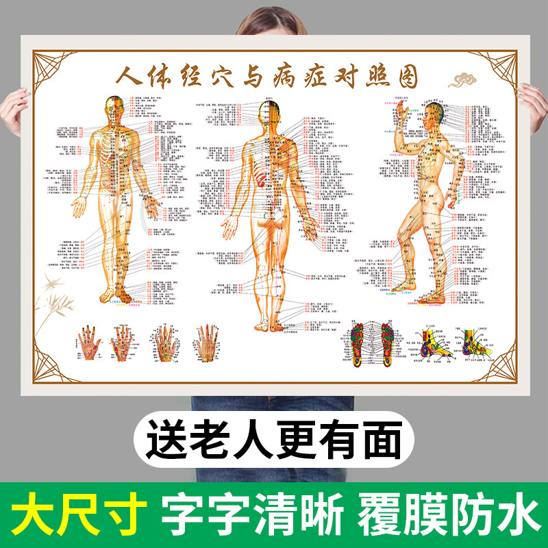 人体经络穴位标准大图中医人体经络穴位图高清全身标准经穴部位图