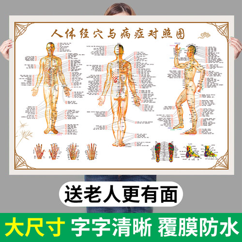 穴位图【超清印刷丨穴位齐全】