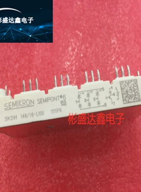 SKDH146/16-L75  SKDH146/16-L100 SKDH116/16-L105  -L140 现货