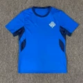 2026 Iceland Home