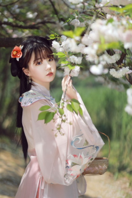 初夏山海经明制云肩粉色百迭裙