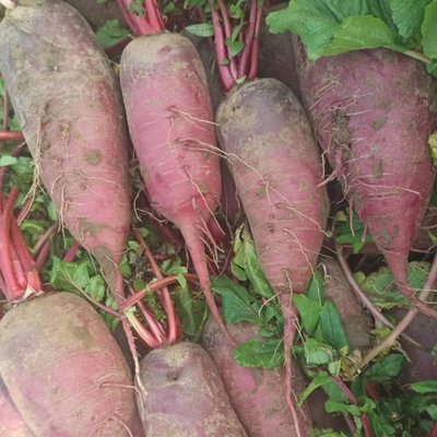 穿心红萝卜临沂苍山紫皮穿心红萝卜红心萝卜农家自种红心萝卜5斤