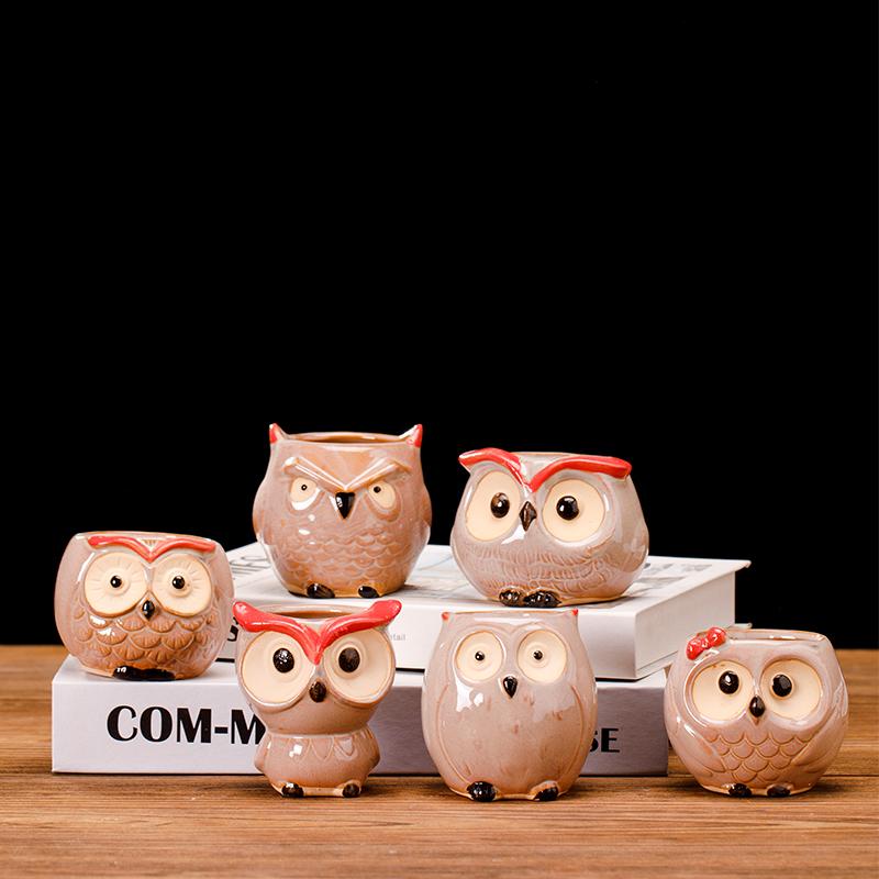 多肉花盆动物盆底部有孔陶瓷小盆