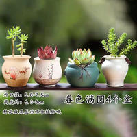 Succulent plant flowerpots, coarse earthenware green plant ceramic simple, individual and creative small flower pot sets for potted plants thumbnail 5
