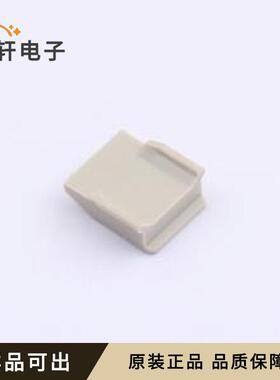 原装09060019919全新-