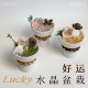 cooco万物有灵 天然水晶盆栽入户玄关办公室收银台招财摆件送礼物
