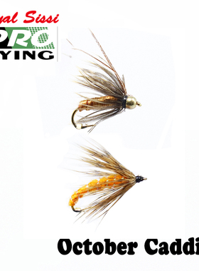 手工绑制飞蝇饵 路亚溪流钓 12# 14#小型caddis石蛾仿生昆虫毛钩