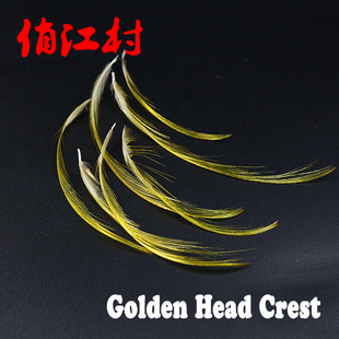 飞钓 飞蝇绑制 羽毛材料 锦鸡金丝 head crest 传统毛钩 金鸡头片