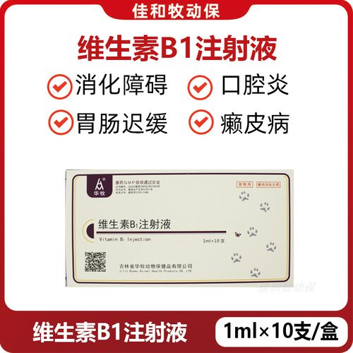 华牧VB1注射液犬猫用通便开胃